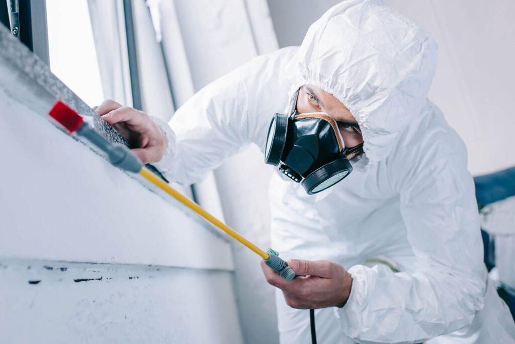 “Professional pest control Lincoln treating a home for ants and rodents, with a technician wearing protective gear and using eco-friendly pest management equipment.”