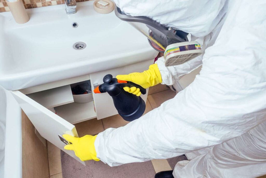 Bed bug treatment in College View, Lincoln